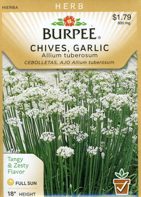 CYBEXIS LXI-5 - Garlic Chive Herb - (250 Seeds) Seed(250 per packet)