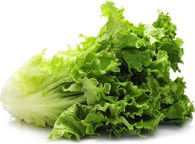 VibeX ® VMR-350 Romaine Lettuce Seeds Seed(200 per packet)