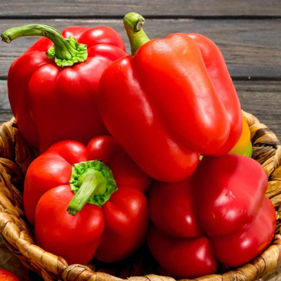 KNESSiN Heat Tolerant Red Solario Capsicum Vegetable Seeds For Gardening-(400 Seeds) Seed(400 per packet)