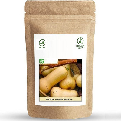 Biosnyg Waltham Butternut Squash Seed(250 per packet)