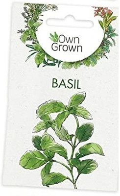 KNESSiN Basil Seed(1250 per packet)