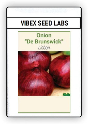 CYBEXIS F1 Hybrid Red Nasik Onion Seeds4000 Seeds Seed(4000 per packet)