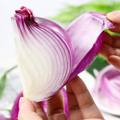 KNESSiN Nasik Onion Sweet Red Seed(200 per packet)