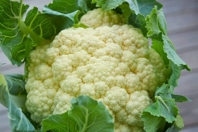Aywal Organic white cauliflowe फूल गोभी Seed(2000 per packet)