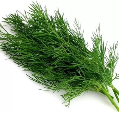 Aro Dill, Soya Seed(50 per packet)
