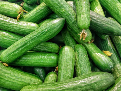 TRICONE Rajni Cucumber Kheera Seeds 320 Beej F23 Seed(320 per packet)