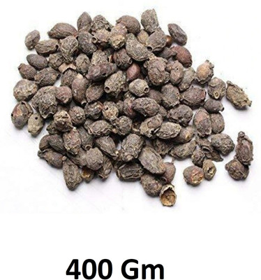 LSHERBS Jaamun Seeds, JAMUN GUTHLI, SYZYGIUM CUMINI Seed(400 g)
