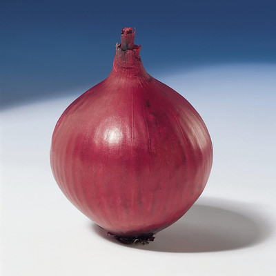 Qualtivate PUA-3A Onion Red Baron Neutral Giant Seed(500 per packet)