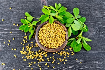 Quentova Kasturi Methi Seeds (Fenugreek)-GBPUT-5T Seed(250 per packet)