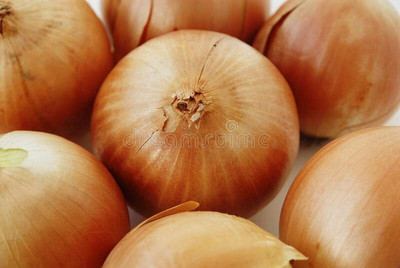WILLVINE KGF -X Onion golden F1 Hybrid seeds [2.5g] Seed(1500 per packet)