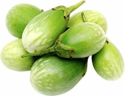 Aywal Brinjal Green Round Eggplant Hybrid Seed(110 per packet)