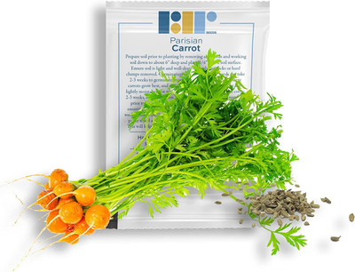 VibeX XL-63 - Parisian Carrot - (750 Seeds) Seed(750 per packet)