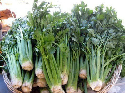 CYBEXIS XLR-40 - Utah Tall Organic Celery - (750 Seeds) Seed(750 per packet)