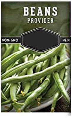 CYBEXIS French Beans Provider400 Seeds Seed(400 per packet)