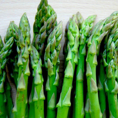 KNESSiN Large Leaf Asparagus-{400 Seeds} Seed(400 per packet)