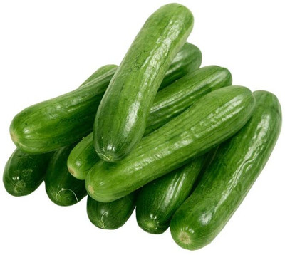 Aywal High Germination Seeds Burpless Hothouse Cucumber Seed(600 per packet)