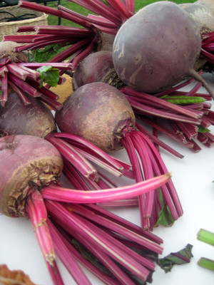 LPR CHUKANDAR,,BEETROOT Seed(30 per packet)