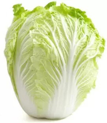 Aro Cabbage Seed(100 per packet)
