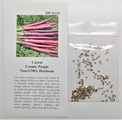 CYBEXIS LXI-56 - Carrot Cosmic Purple - (2250 Seeds) Seed(2250 per packet)