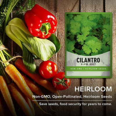 VibeX LX-30 - Organic Cilantro - (750 Seeds) Seed(750 per packet)