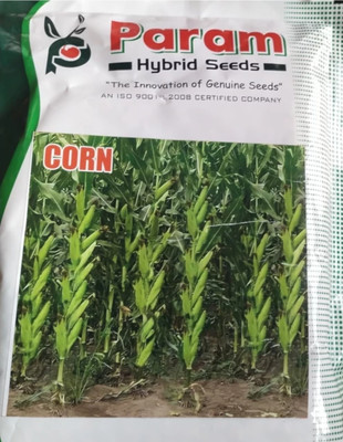 HYBRID 1kg Highest yield variety long bhutta very quilty Seed(1 kg)