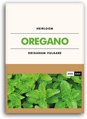 CYBEXIS VXI-70 - Italian Oregano - Wild Marjoram - (1350 Seeds) Seed(1350 per packet)