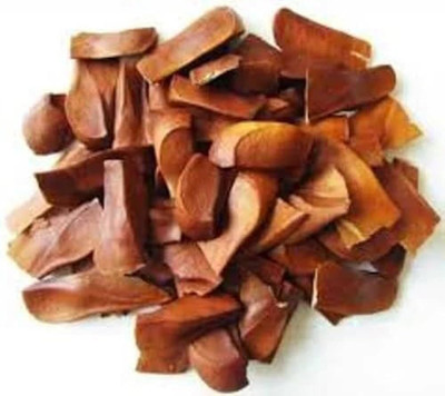 ibains Mahogany tree seeds Seed(20 per packet)
