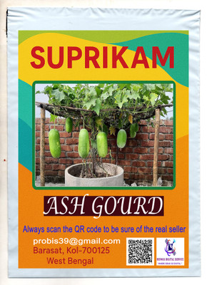SUPRIKAM BIG SIZE ASH GOURD / CHAL KUMRA GROW IN YOUR GARDEN TO MAKE NATURE BEAUTY Seed(21 per packet)