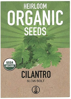 KNESSiN Cilantro Seed(1250 per packet)