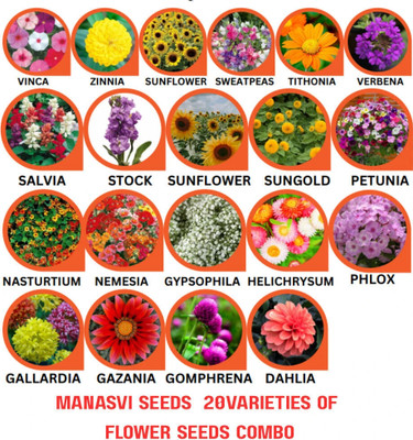 manasviseeds Combo of 20 Variety 1000+ Flower Seeds Combo Pack Seed(1000 per packet)