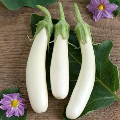 KNESSiN White Long Brinjal Seeds-[1gm] Seed(250 per packet)