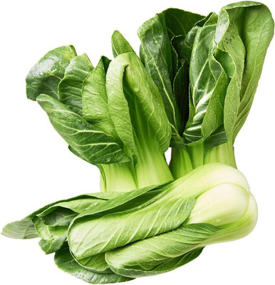 WILLVINE GOI -XIII Chinese Cabbage Bok Choy [5g] Seed(1500 per packet)