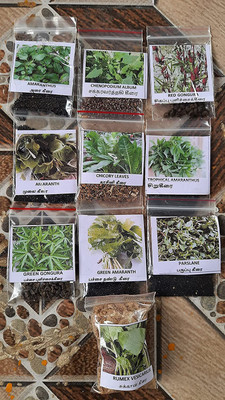 CYBEXIS 10 Types in 1 Spinach Green seeds Seed(10 g)