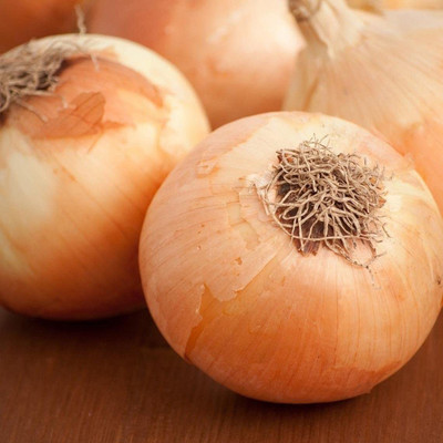 VibeX ATS-67 - Yellow Sweet Spanish Onion - (4500 Seeds) Seed(4500 per packet)