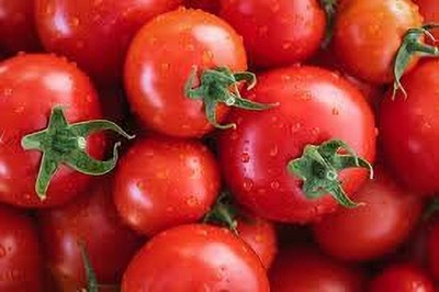 LPR TOMATO SEEDS Seed(100 per packet)