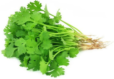 CYBEXIS CORIANDER SEEDS1400 Seeds Seed(1400 per packet)