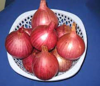 SM Exports Arka Bheem Onion vegetable seeds 50g seeds per pack. Seed(50 g)