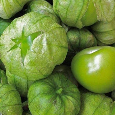 CYBEXIS Tomatilo Grande Rio Verde, Vegetable Seeds2000 Seeds Seed(2000 per packet)