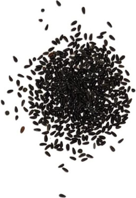CYBEXIS KGF -3 - Melissa Herbs Lemon Balm - (2250 Seeds) Seed(2250 per packet)
