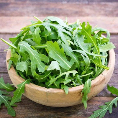 CYBEXIS PAU-96 - Roquette (Rocket Arugula) - (250 Seeds) Seed(250 per packet)