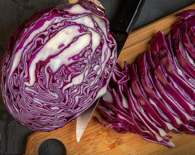 WILLVINE SCI -X RED CABBAGE/PATTA GOBHI SEEDS [10g] Seed(3000 per packet)