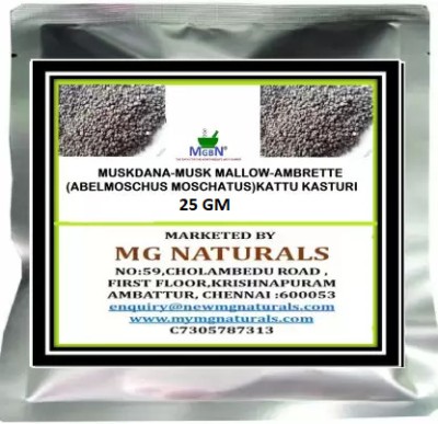 MGBN MUSKDANA-MUSK MALLOW-AMBRETTE (ABELMOSCHUS MOSCHATUS) KATTU KASTURI-SEED-25 Gm Seed(25 g)