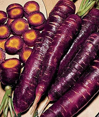 CYBEXIS F39Purple Carrot Seeds2000 Seeds Seed(2000 per packet)