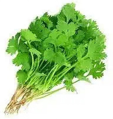 Aywal Duck-Tongue Mexican Coriander Seed(150 per packet)