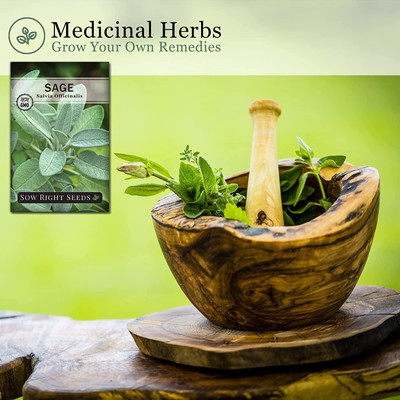 VibeX PUAS-43 - Sage Non-GMO - (1350 Seeds) Seed(1350 per packet)