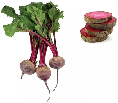 Quentova Beetroot - Red Ace-LTK Seed(200 per packet)