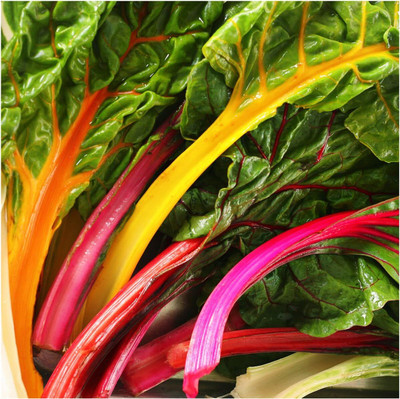 Biosnyg HUA-32 Rainbow Swiss Chard (Beta vulgaris) -[200 Seeds] Seed(200 per packet)