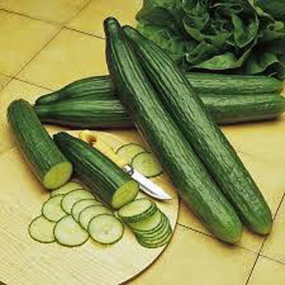 CYBEXIS ATS-50 - Cucumber Long Green Improved - (150 Seeds) Seed(150 per packet)
