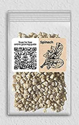 WILLVINE Non-GMO F1 HybridSpinach-5000 Seeds Seed(5000 per packet)