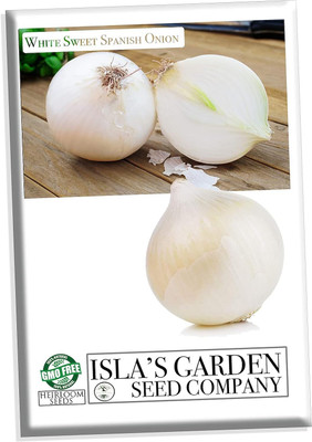 WILLVINE PAU -IX White Sweet Spanish Onion Seeds [2.5g] Seed(1500 per packet)